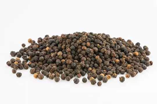 Black Beauty Peppercorn {Piper nigrum}| Organic Heirloom 10 Seeds USA