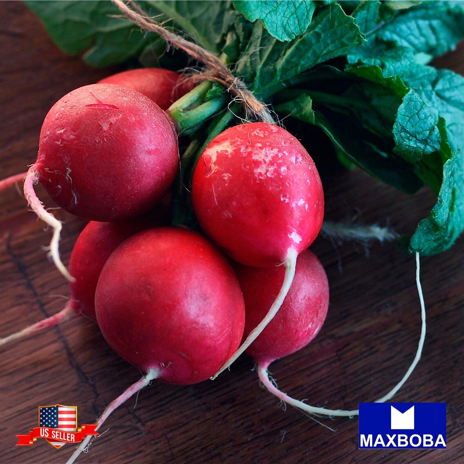 100 Champion Radish Fresh Seeds Non-GMO Heirloom Vegetable