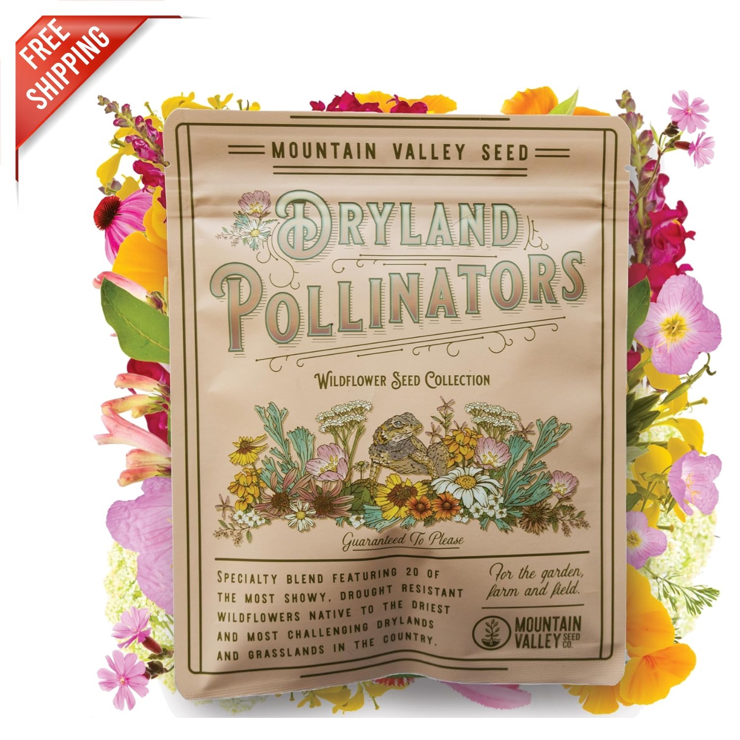 80,000+ Non-GMO Wildflower Seeds – Drought-Resistant Blend for Beautiful Gardens