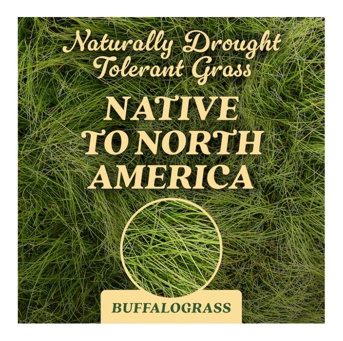 [HOT SALE] Scotts O.M. Scott & Sons 0.7 lb Buffalograss Grass Seed Lawn Seed
