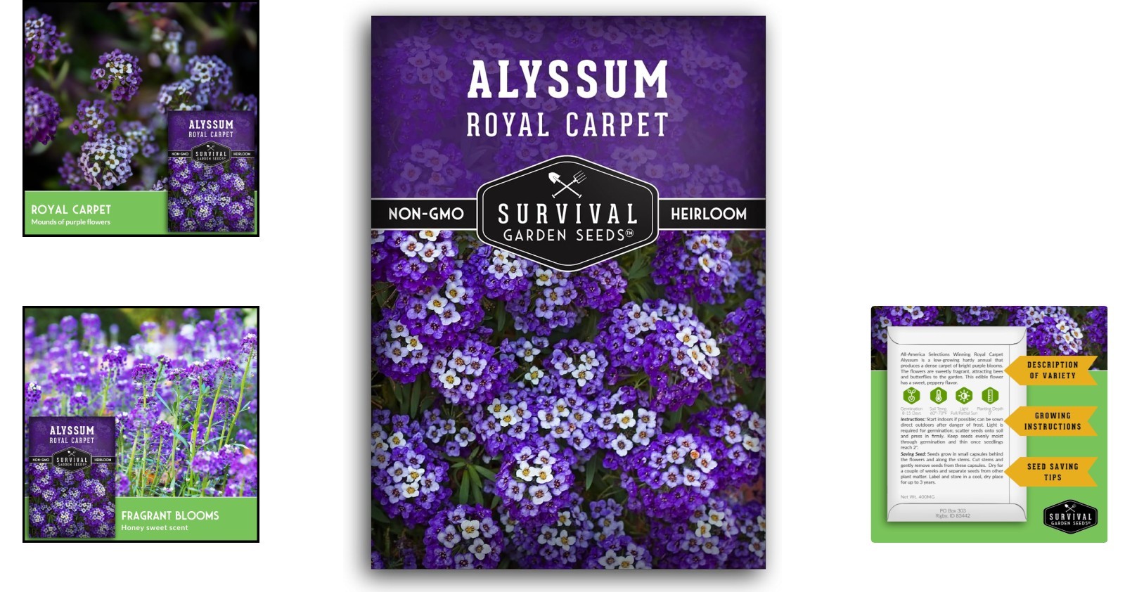 Low Maintenance Alyssum Seeds – Heirloom Purple Variety for Eco-Friendly Gardens
