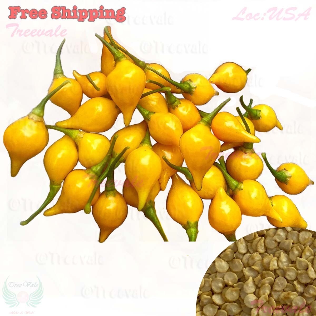 Biquinho Yellow Hot Pepper Seeds | Little Beak, Sweaty Drops Seeds | NON-GMO