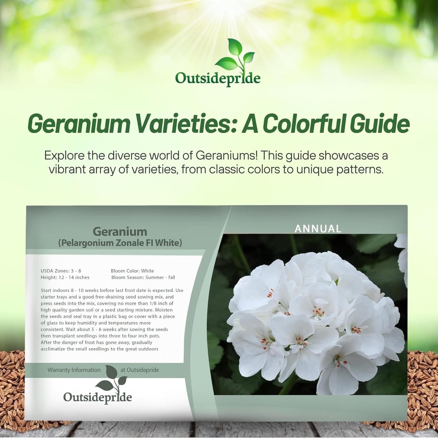 25 Seeds Geranium Pelargonium Geranium White Heat & Drought Tolerant Garden