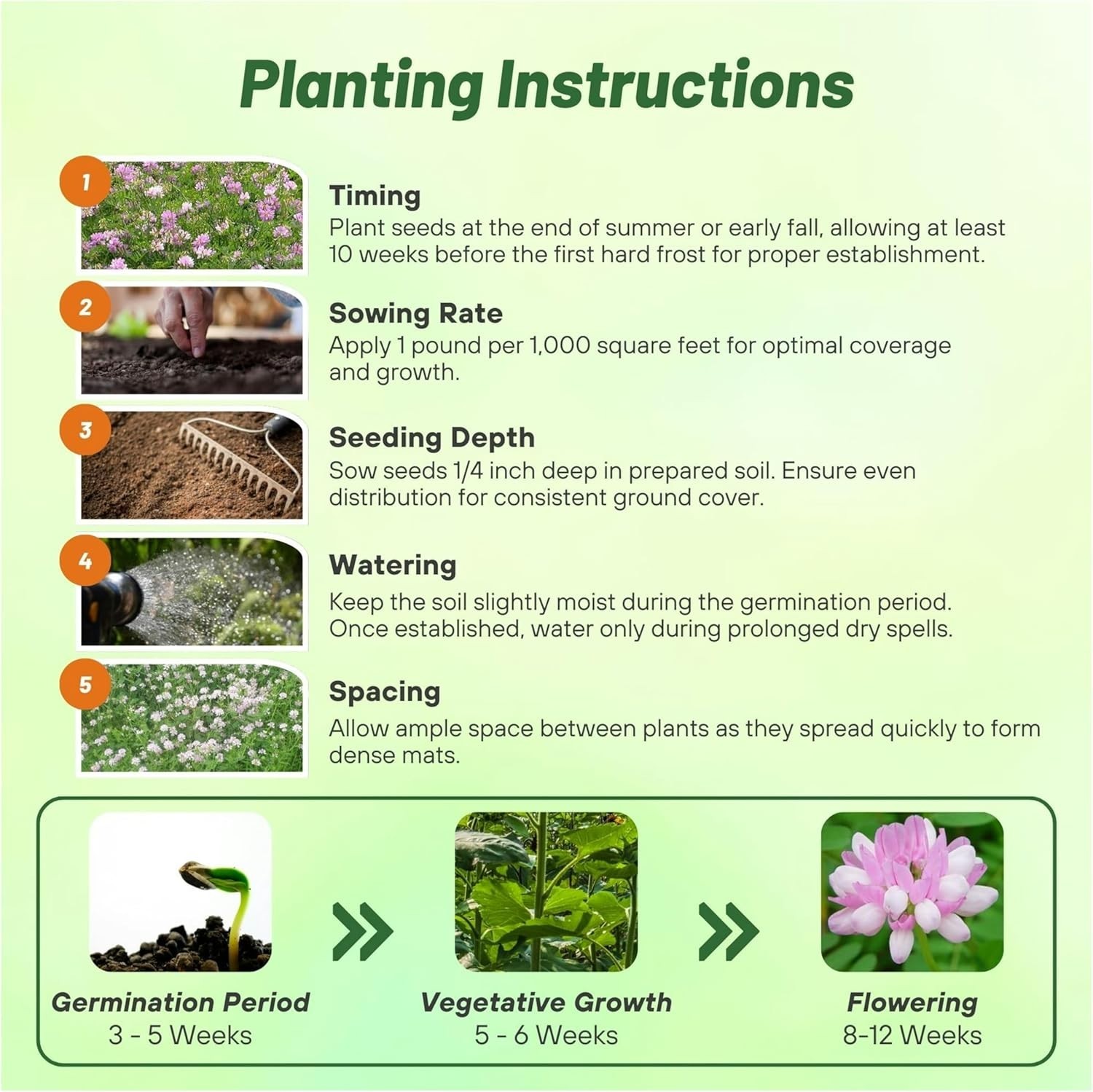Perennial Crown Vetch Seeds – 1 lb. Fast-Growing, GMO-Free Flower for Gardens