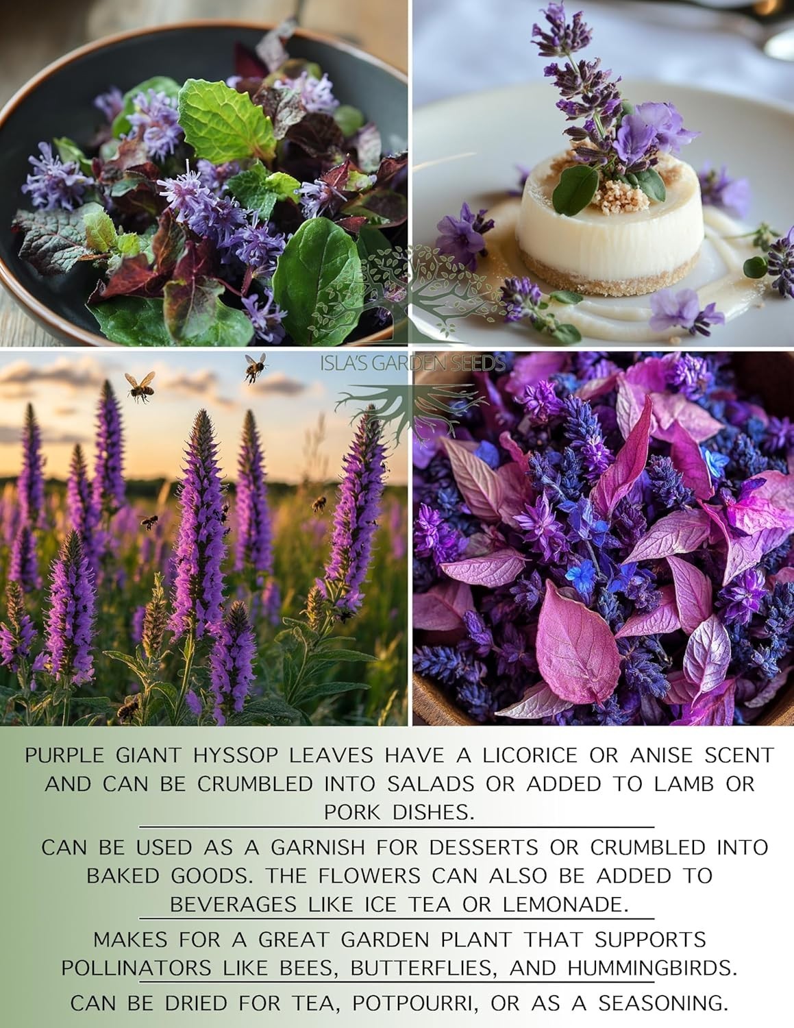 250+ Purple Giant Hyssop Seeds – Easy Growing for Colorful Summer Blooms