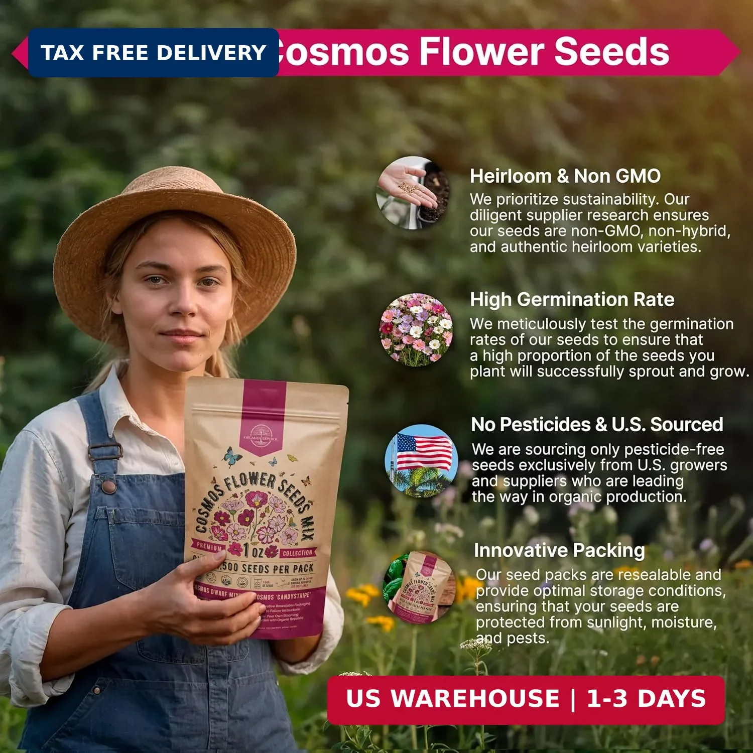 Cosmos Flower Seeds Pack 1 oz – 4,500 Non-GMO Heirloom Annual Seeds for Planting