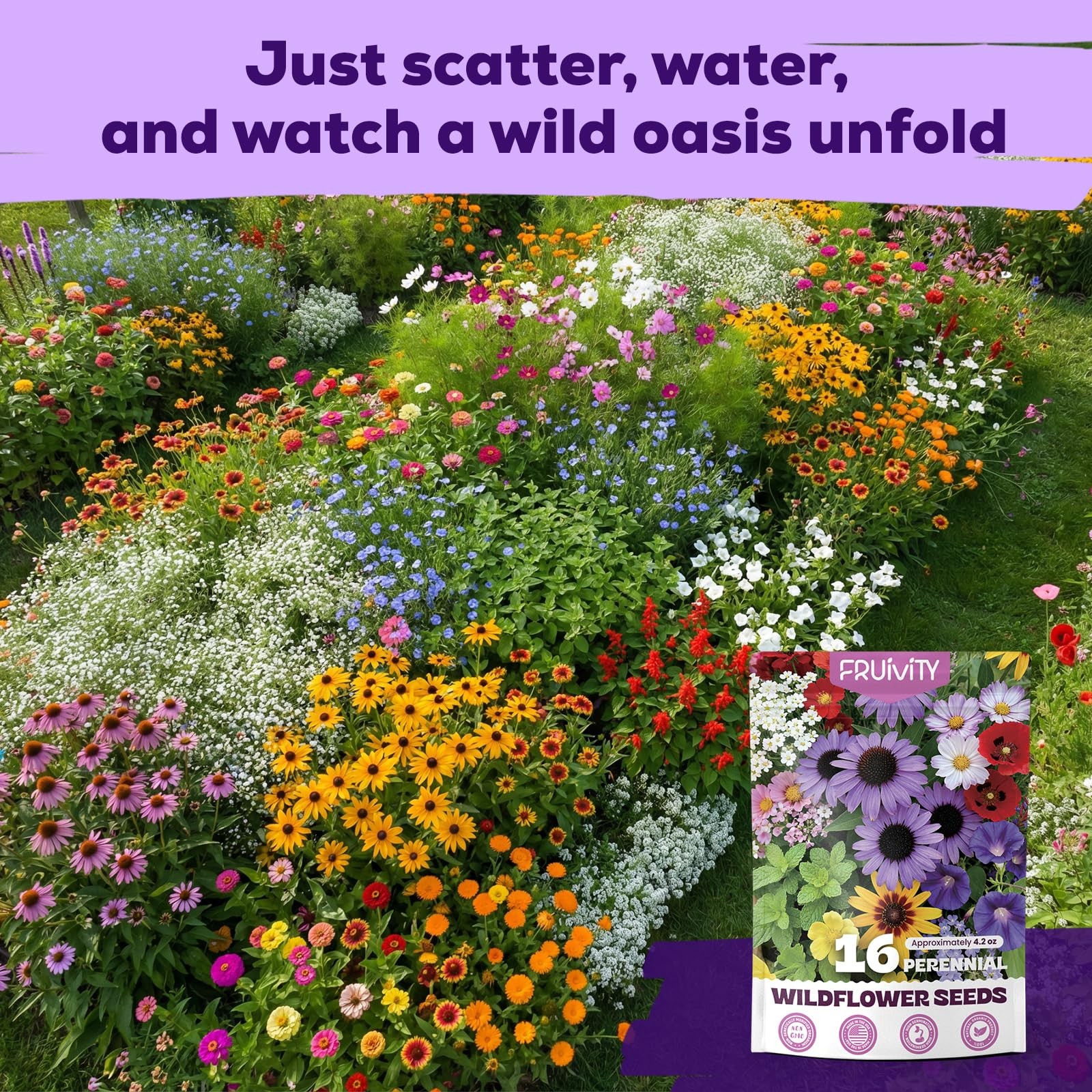 200,000+ Wildflower Seeds Bulk (4oz) – 16 Varieties Perennial & Annual Mix, N…