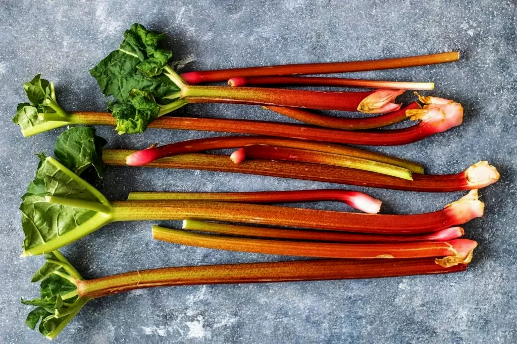 Rhubarb Crown Division 1 Large Root Cherry Crimson Red Rhubarb Strawberry Pie