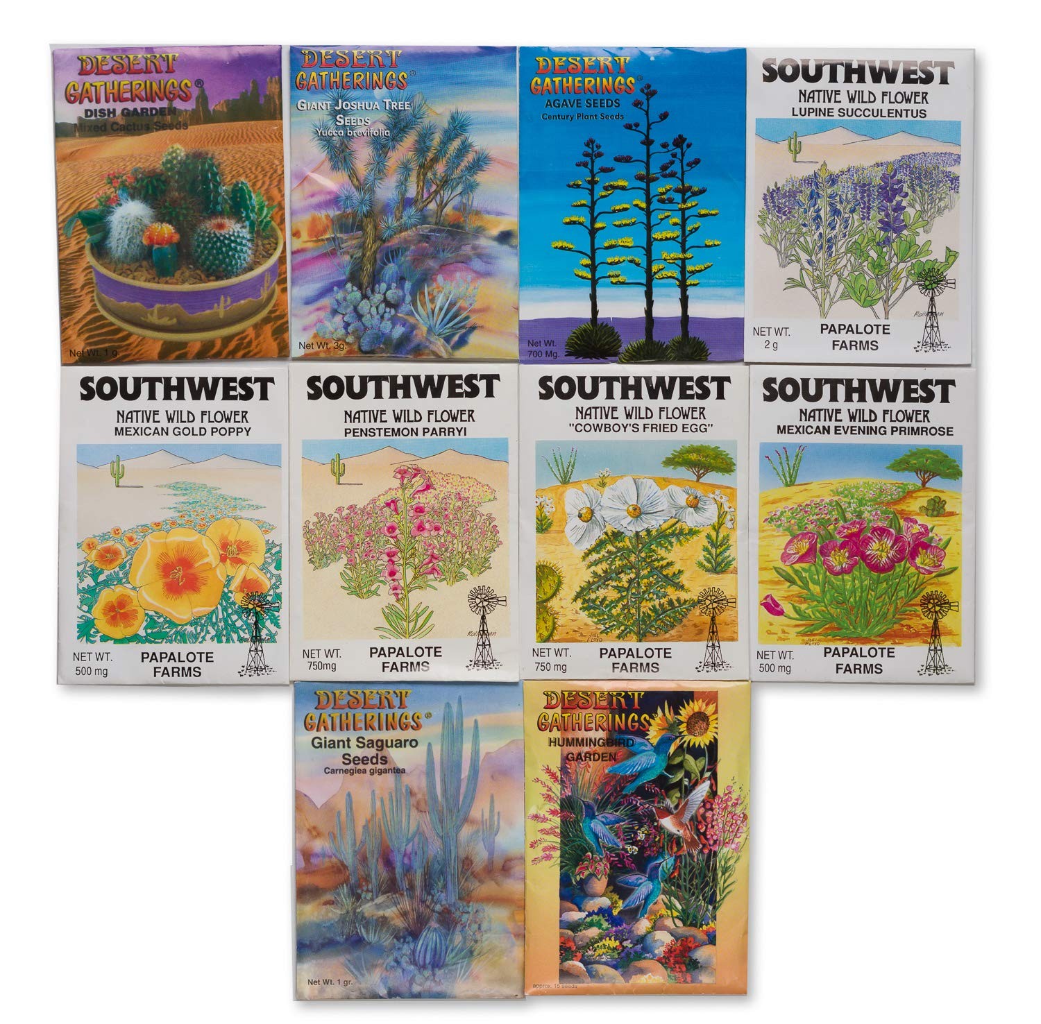 Desert Garden Seed Starter Kit – Grow Your Own Oasis with 10 Desert Cactus, W…