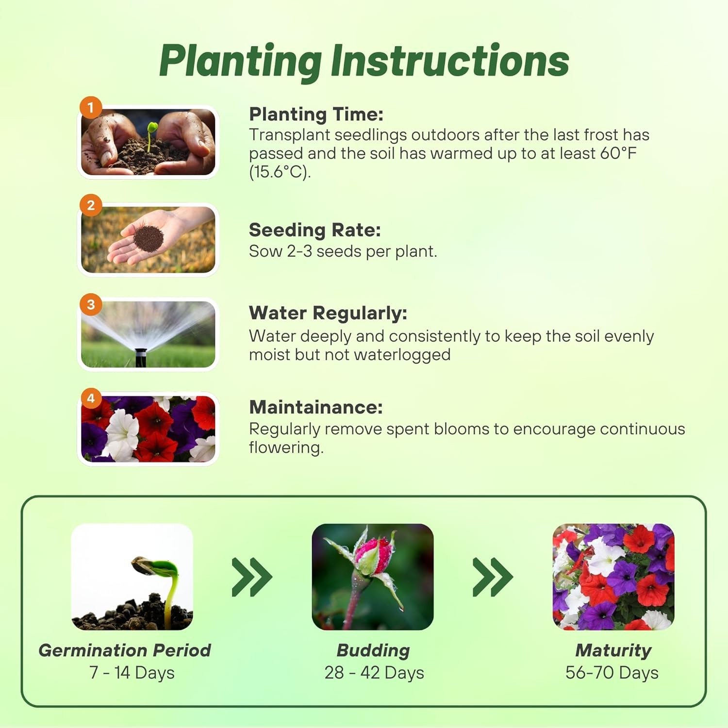15 Seeds Spreading Petunia Seed Mix For Planting – Easy Wave Flower Seed