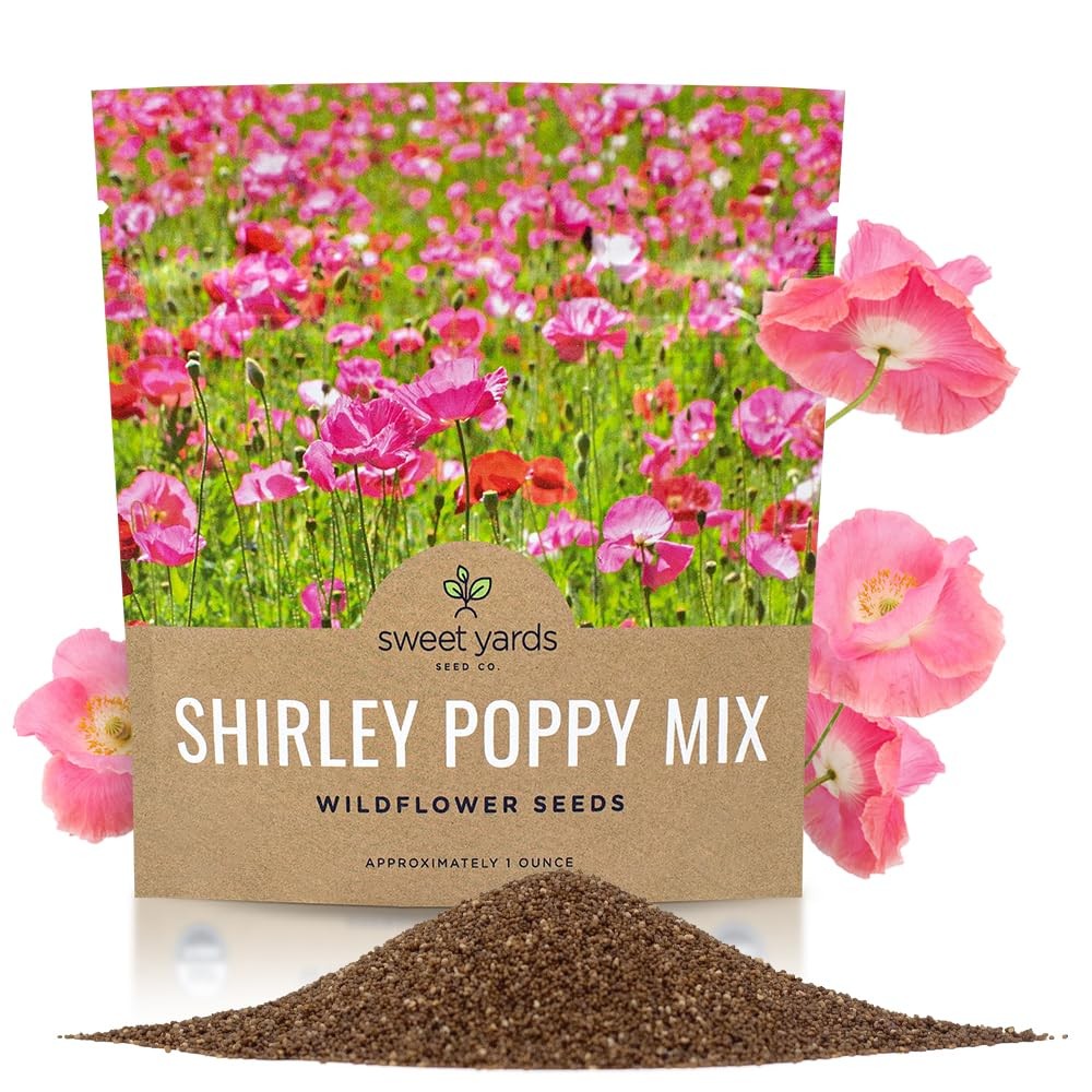Mixed Color Shirley Poppy Seeds – 200,000 Non-GMO Open Pollinated Seeds