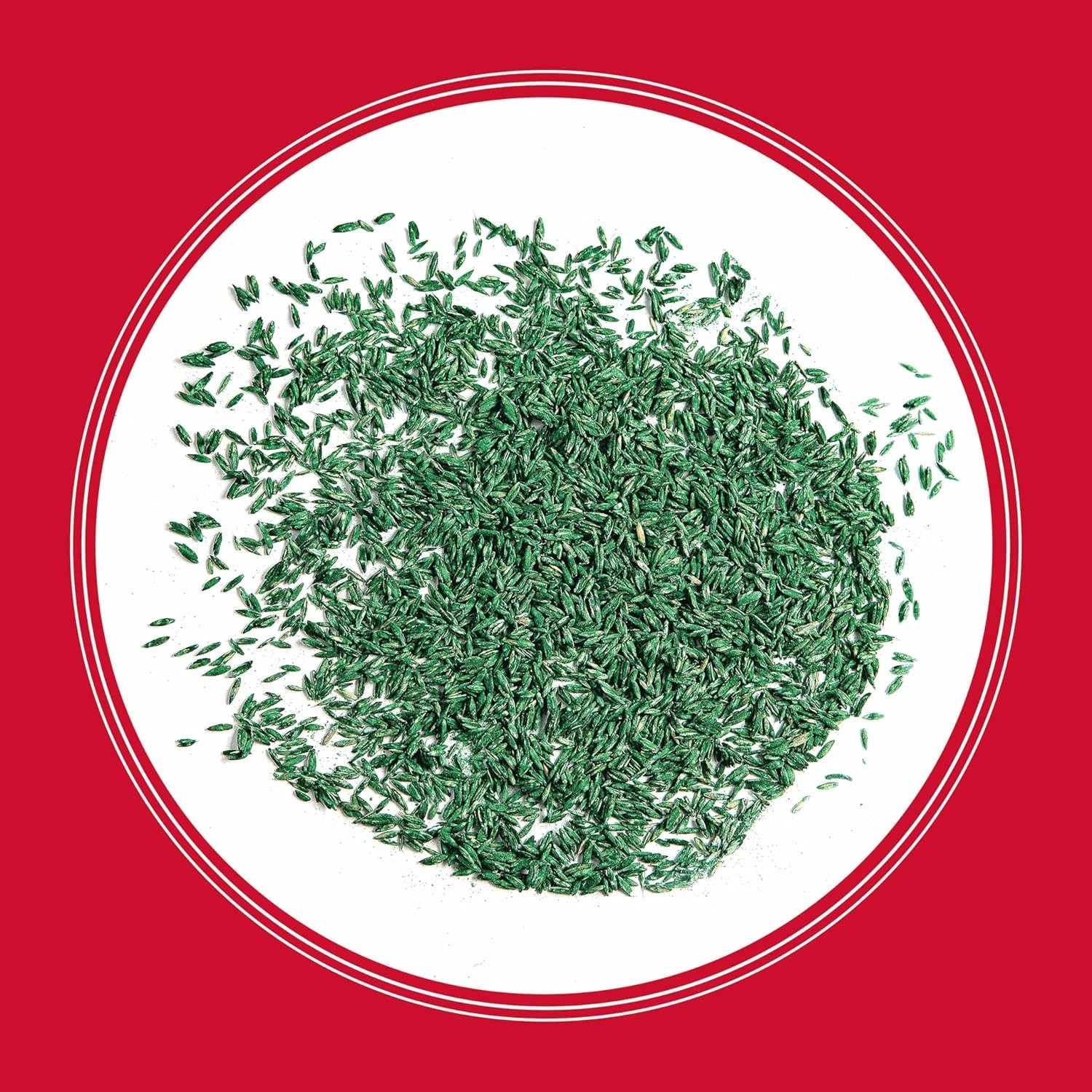 The Rebels Tall Fescue, Tall Fescue Grass Seeds for Lawn, 40 lb