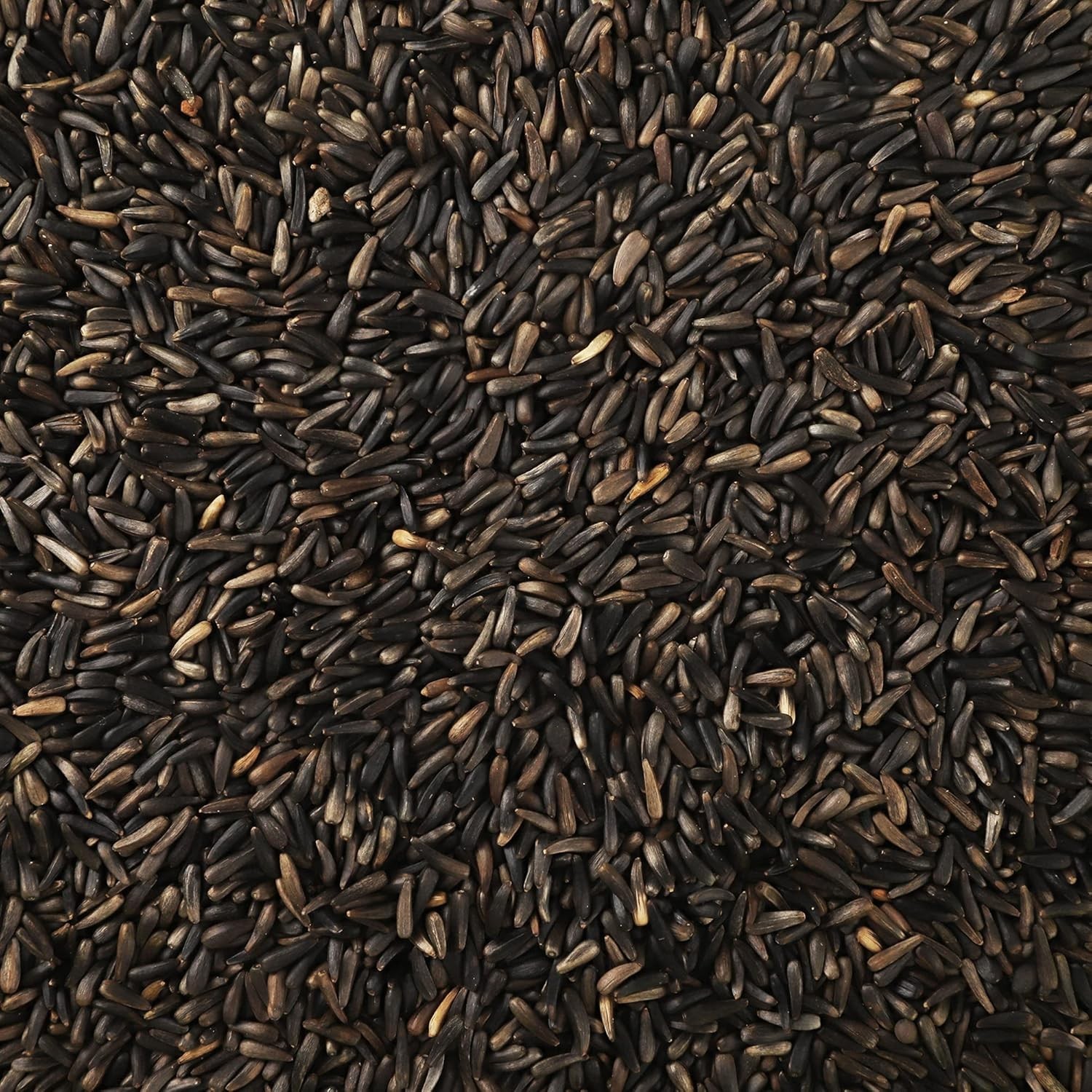 High-Quality Nyjer Seed for Birds – 5lb No Grow Seed, Perfect for Tube Feeders