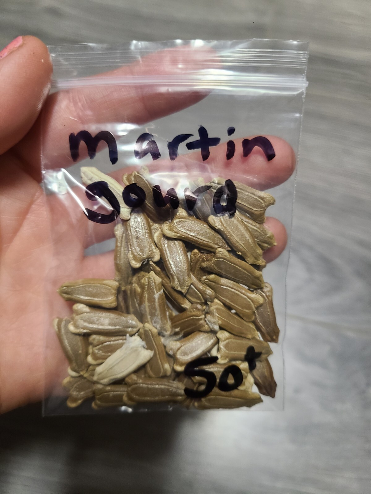 🐦 20+ Martin Birdhouse Gourd Seeds Garden HEIRLOOM Organic NON-GMO 2024