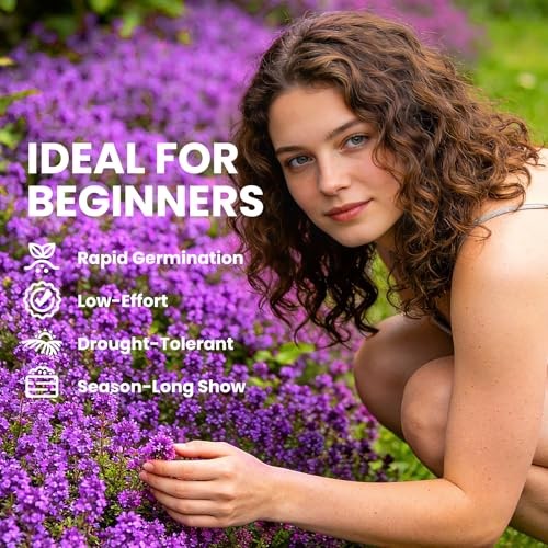 20000+pcs Seeds for Planting, Non-GMO Perennial Ground Cover Creeping Thyme