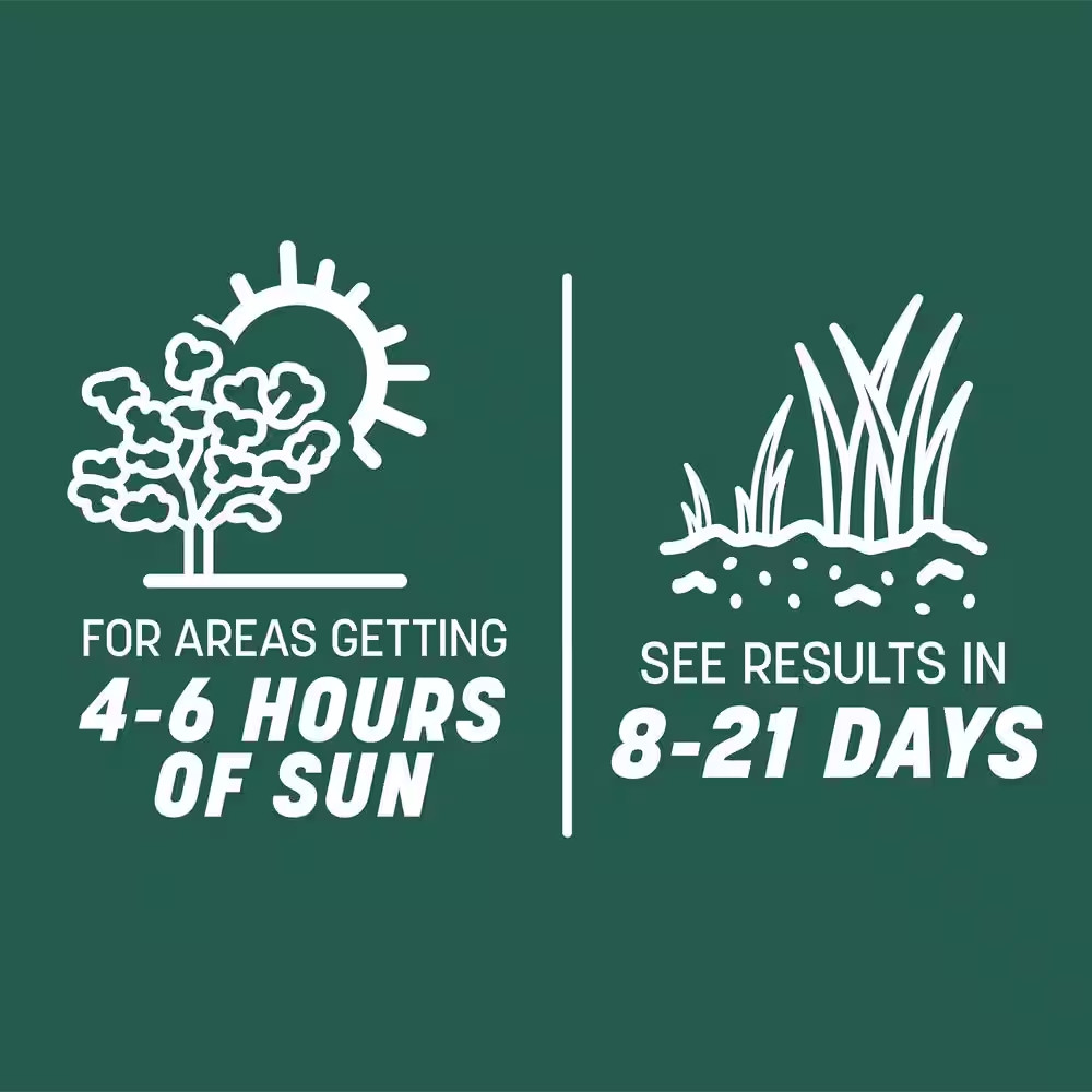 Smart Seed Sun and Shade South 20 Lb. 6,660 Sq. Ft. Grass Seed and Lawn Fertiliz