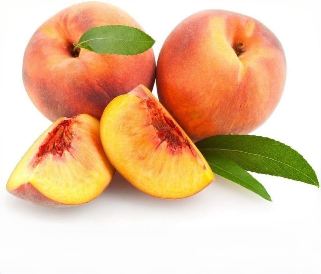 Peach Tree Seeds 5pcs – Sweet Juicy Fruit Variety – Non-GMO Hardy, Fast-Grow