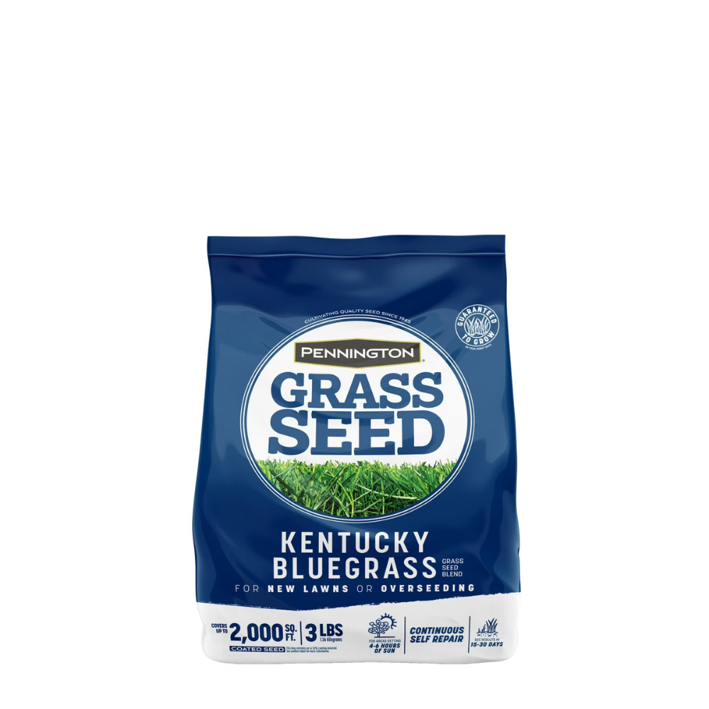 Pennington Kentucky Bluegrass Northern Grass Seed Mix, Sun & Shade, 3 lb, 2 Pack