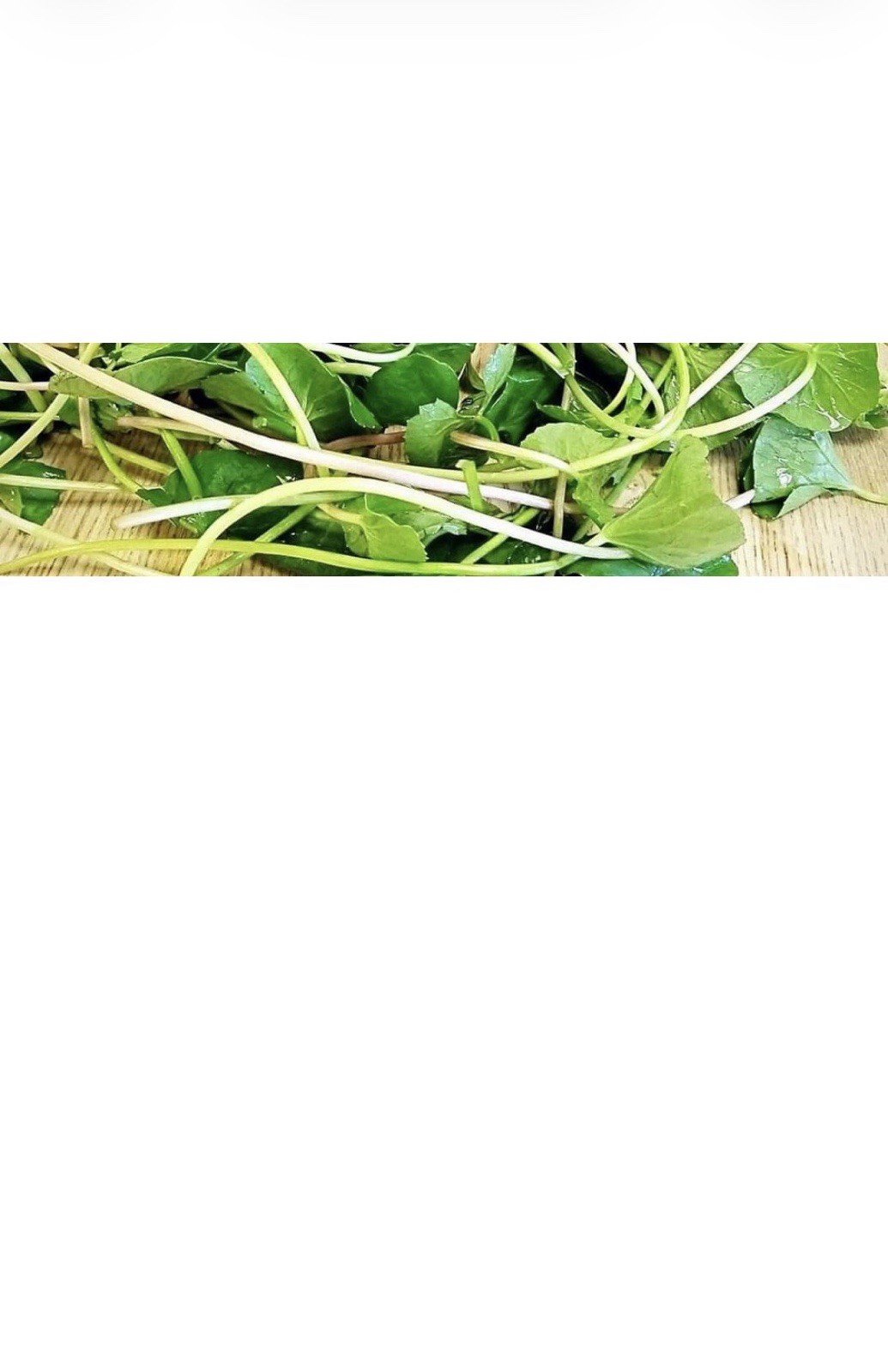500+ Pennywort Seeds, Gotu Kola , Centella asiatica, Rau Ma seeds, Asian Vegies