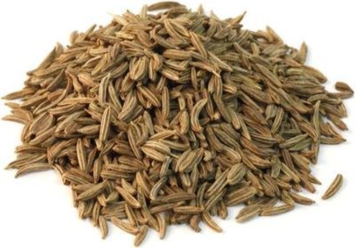 16 Oz Large Jar of Its Delish Caraway Seeds – Flavorful Spices for Cooking