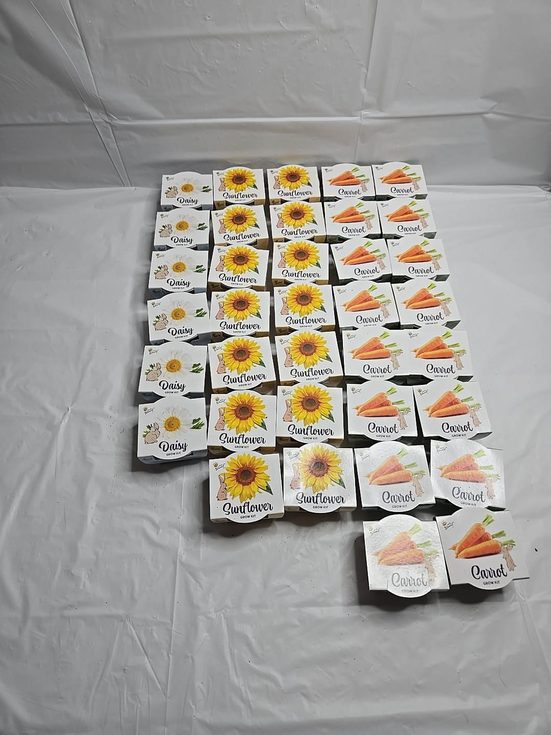 Buzzy Lot Of 36 Grow Kit Sunflower, Carrot, Daisy
