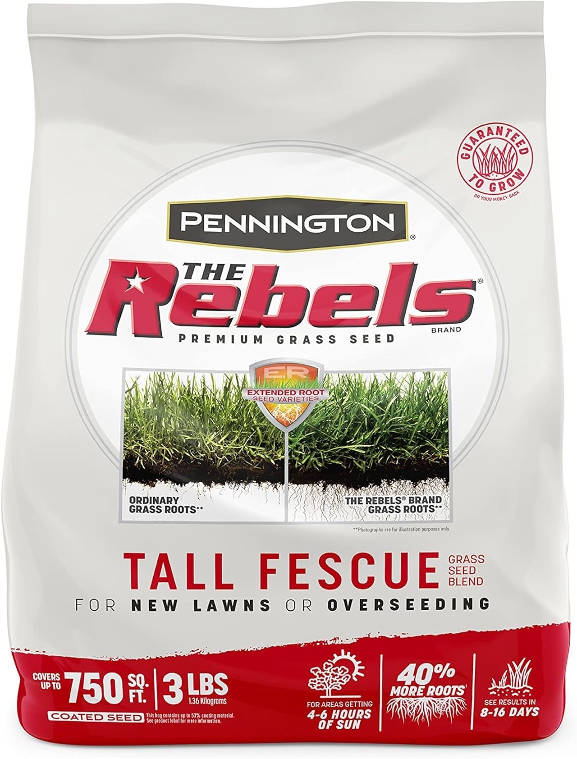 The Rebels Tall Fescue Grass Seed 3 lb – Dense, Dark Green Lawn Solution