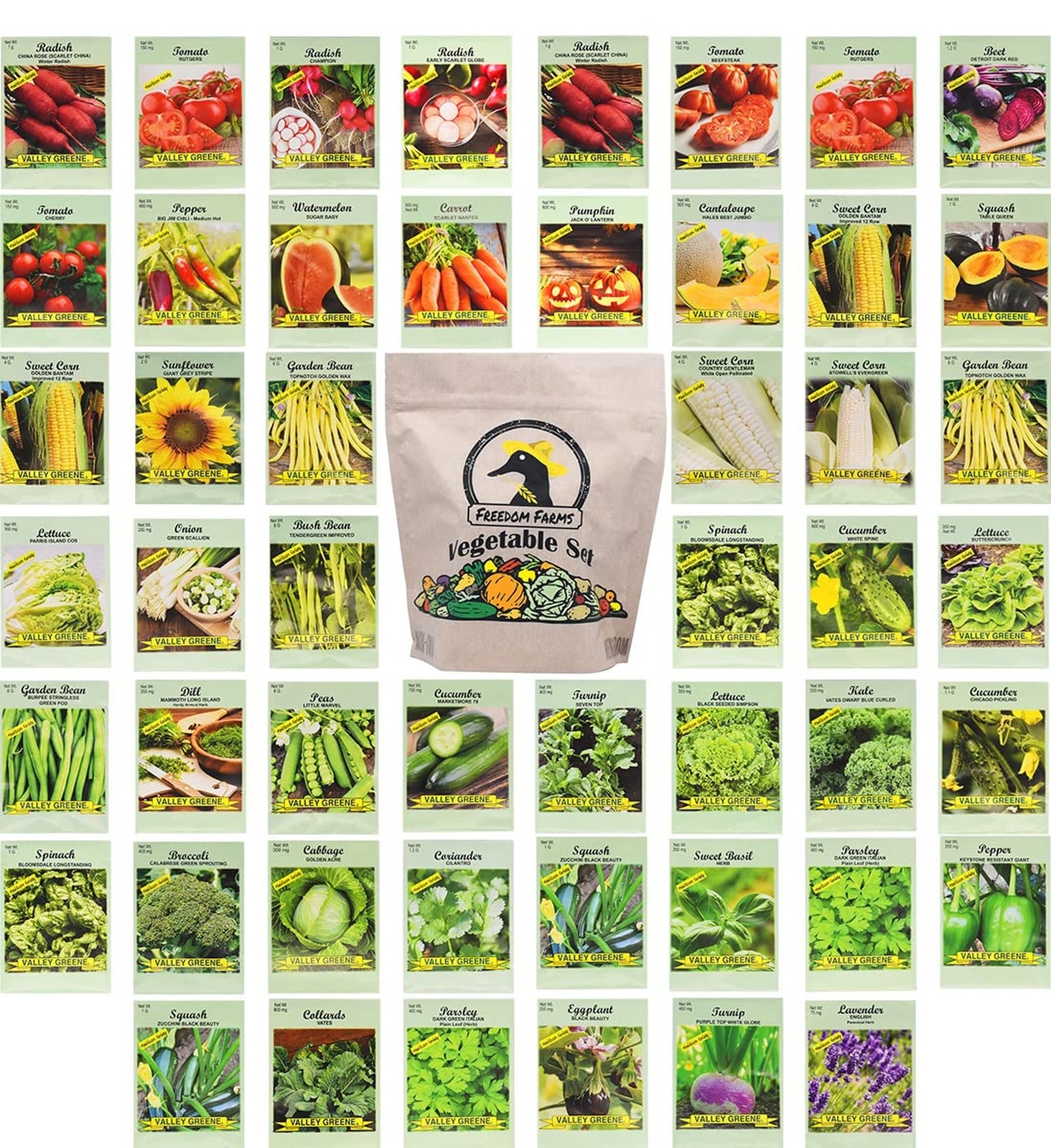 50 Packs Assorted Heirloom Vegetable Seeds 20+ Varieties All Seeds are Heirlo…