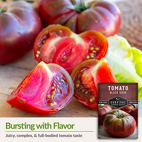 Black Krim Tomato Seeds for Planting – Heirloom Non-GMO Beefsteak Variety – 1