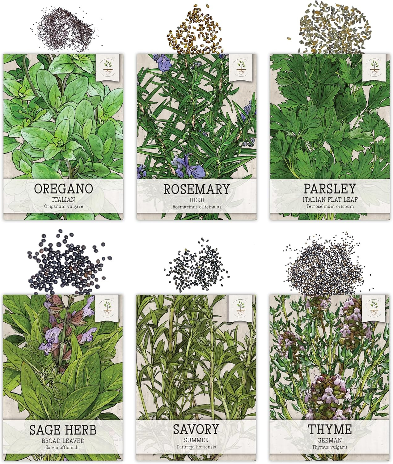 Herb Seeds Variety Pack Culinary Herb Collection (12 Individual Packets for P…