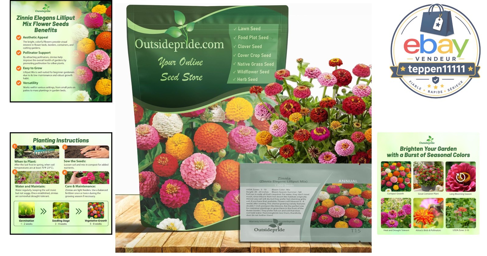Zinnia Seeds 1000 Pcs Annual Blend Mixed Color Ball-Shaped Blooms