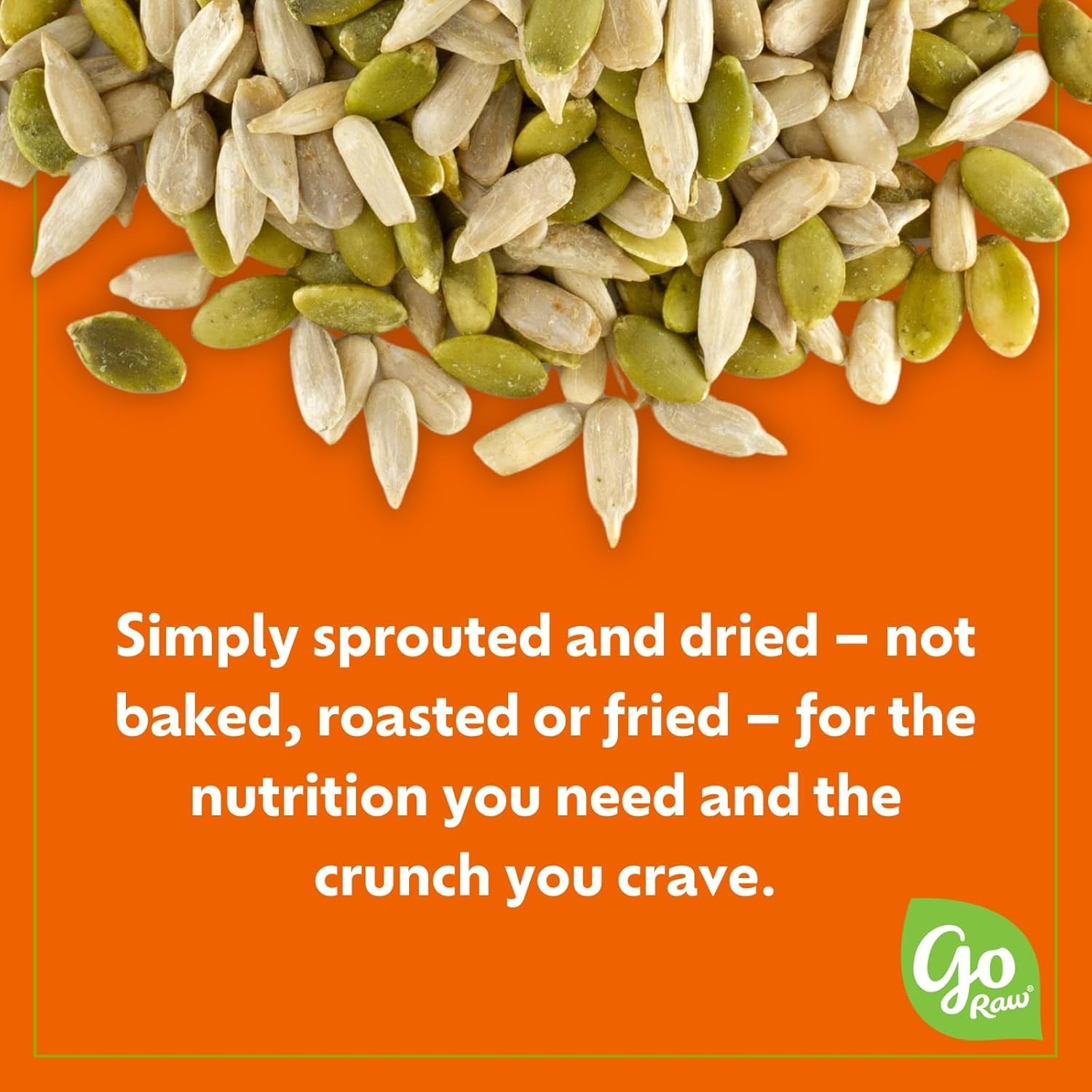 Keto-Friendly Sea Salted Organic Sprouted Seeds – 10oz Nutrient-Dense Snack