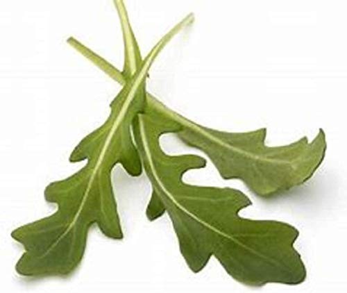 Garden Sprouting Mix – Clover, Arugula, Radish & Fenugreek Seeds for Microgreens