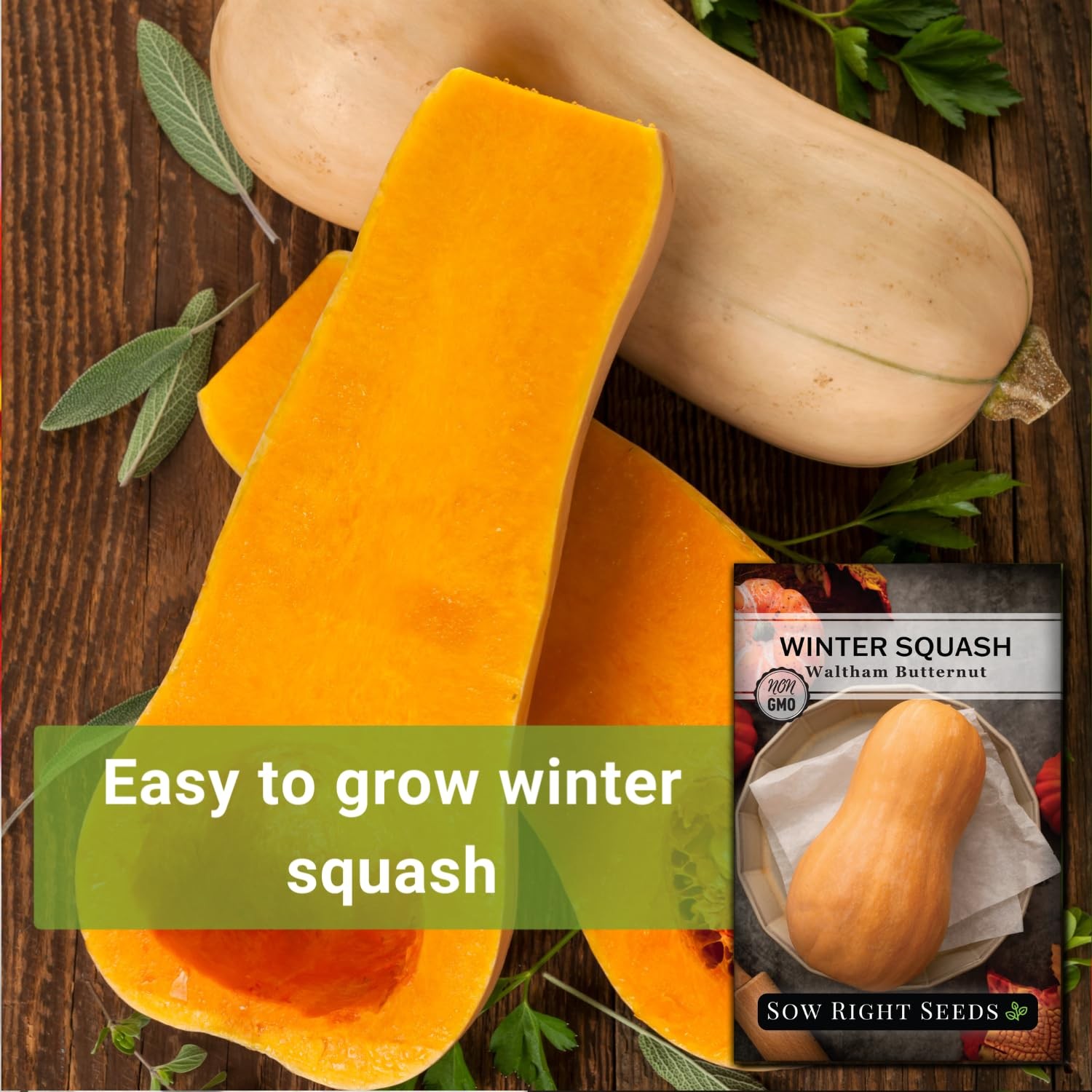 Waltham Butternut Squash Seeds 5g Packet – Non-GMO Heirloom with Instructions