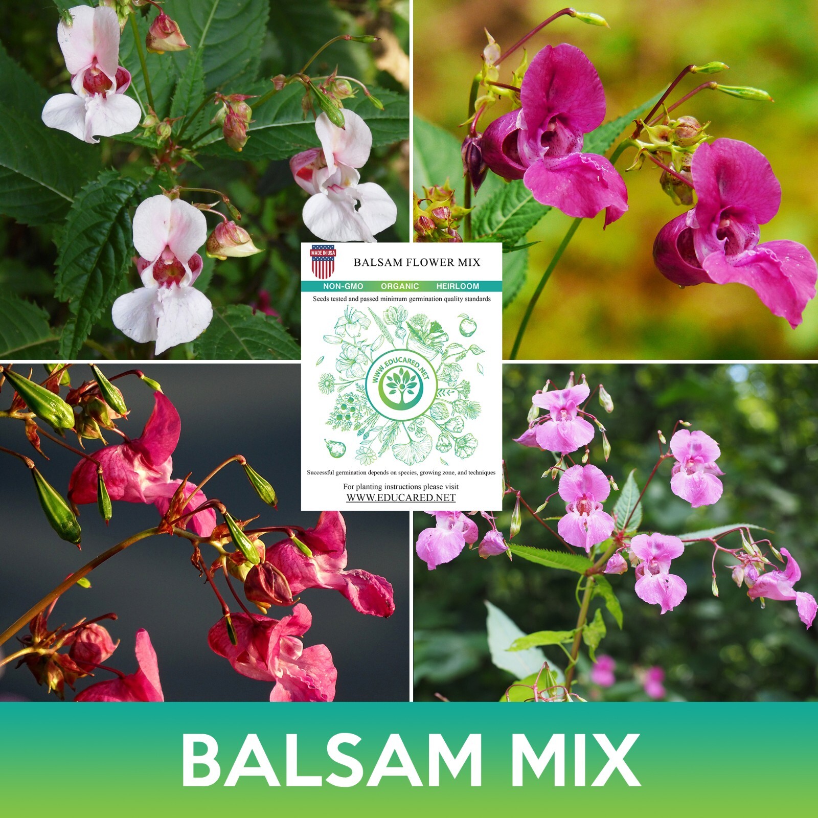 Balsam Flower Mix Seeds, Impatiens balsamina