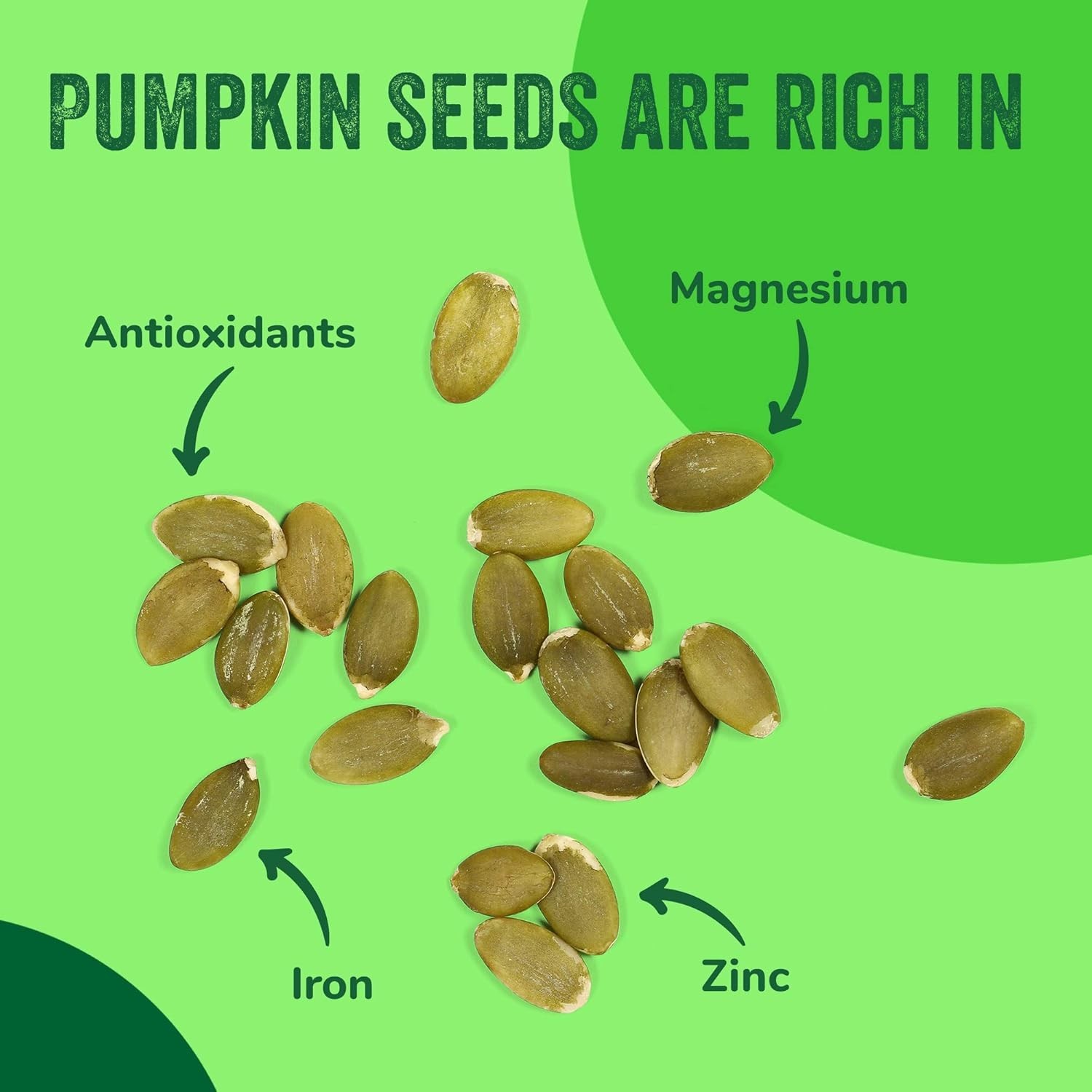 Healthy 32 oz Raw Pumpkin Seeds in Resealable Bag | Non-GMO, Kosher Certified