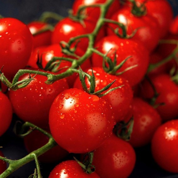 Riesentraube Heirloom Tomato Seeds You will get 50 Fresh Seeds Free Shipping!