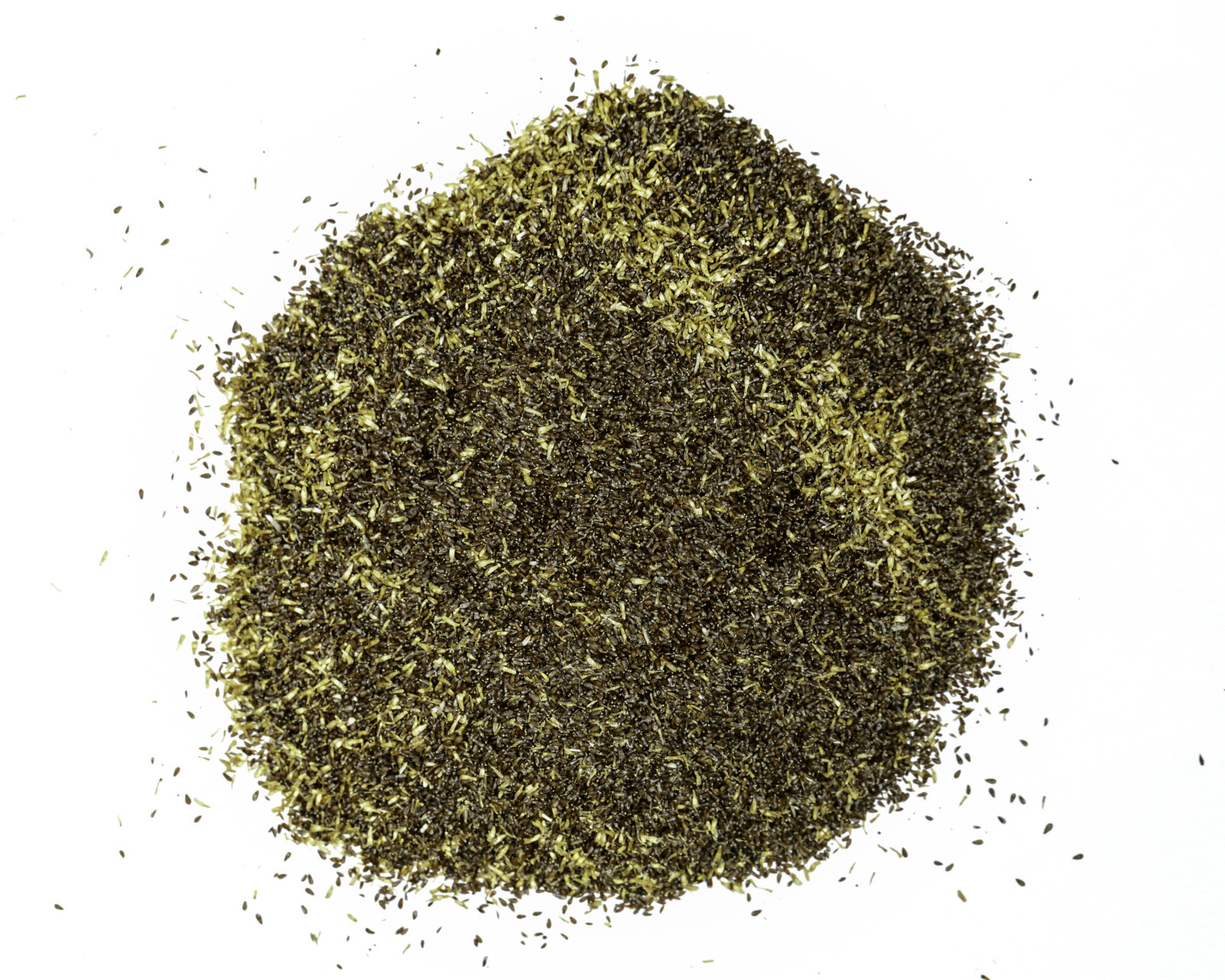 Fringed Sagebrush Seeds – Artemisia frigida – Prairie Sagewort – Arctic Sage