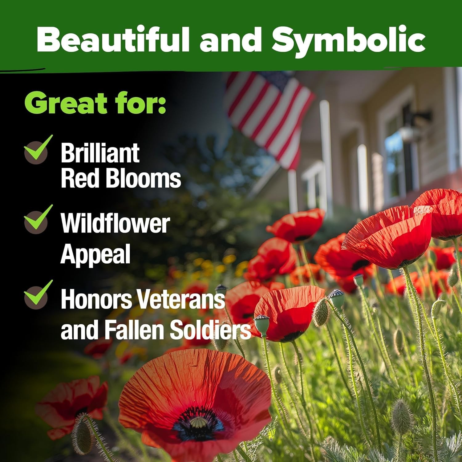 HOME GROWN American Legion Red Poppy Seeds – 6,000 Vibrant Wildflower Seeds for