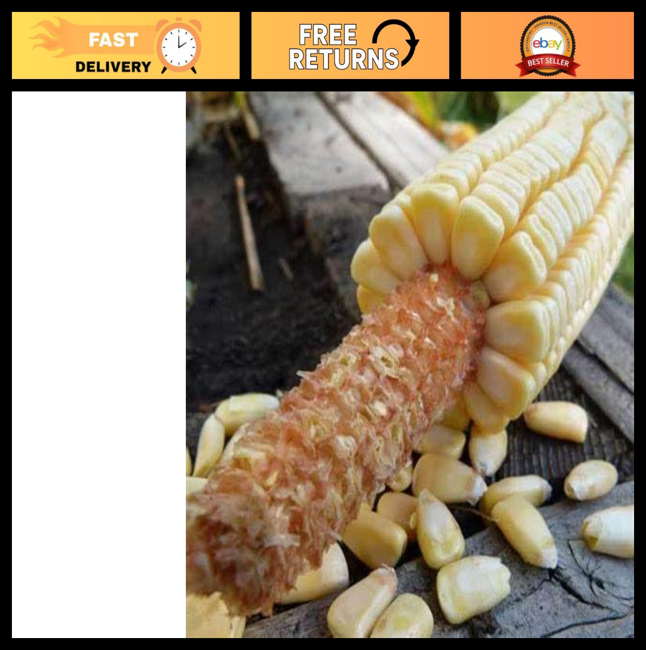 Heirloom Non-GMO Corn Seeds for Planting – 1 lb, 1920 Seeds, Wildlife Foodplot
