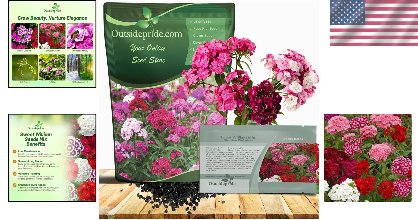 Drought-Tolerant Sweet William Seeds – 5000 Fragrant Seeds for Easy Gardening