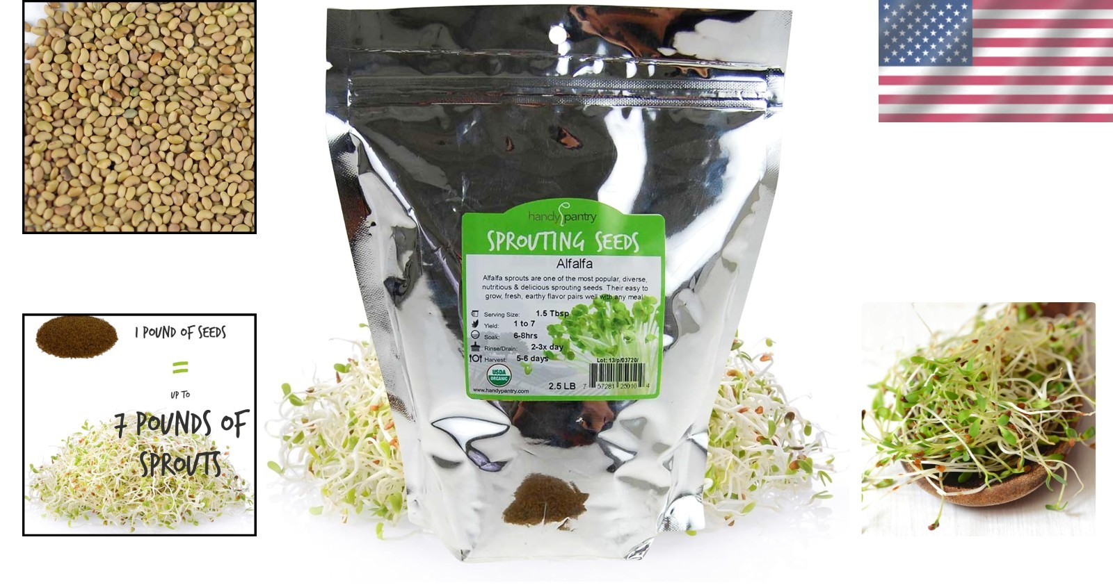 Certified Organic Alfalfa Seed – High Germination