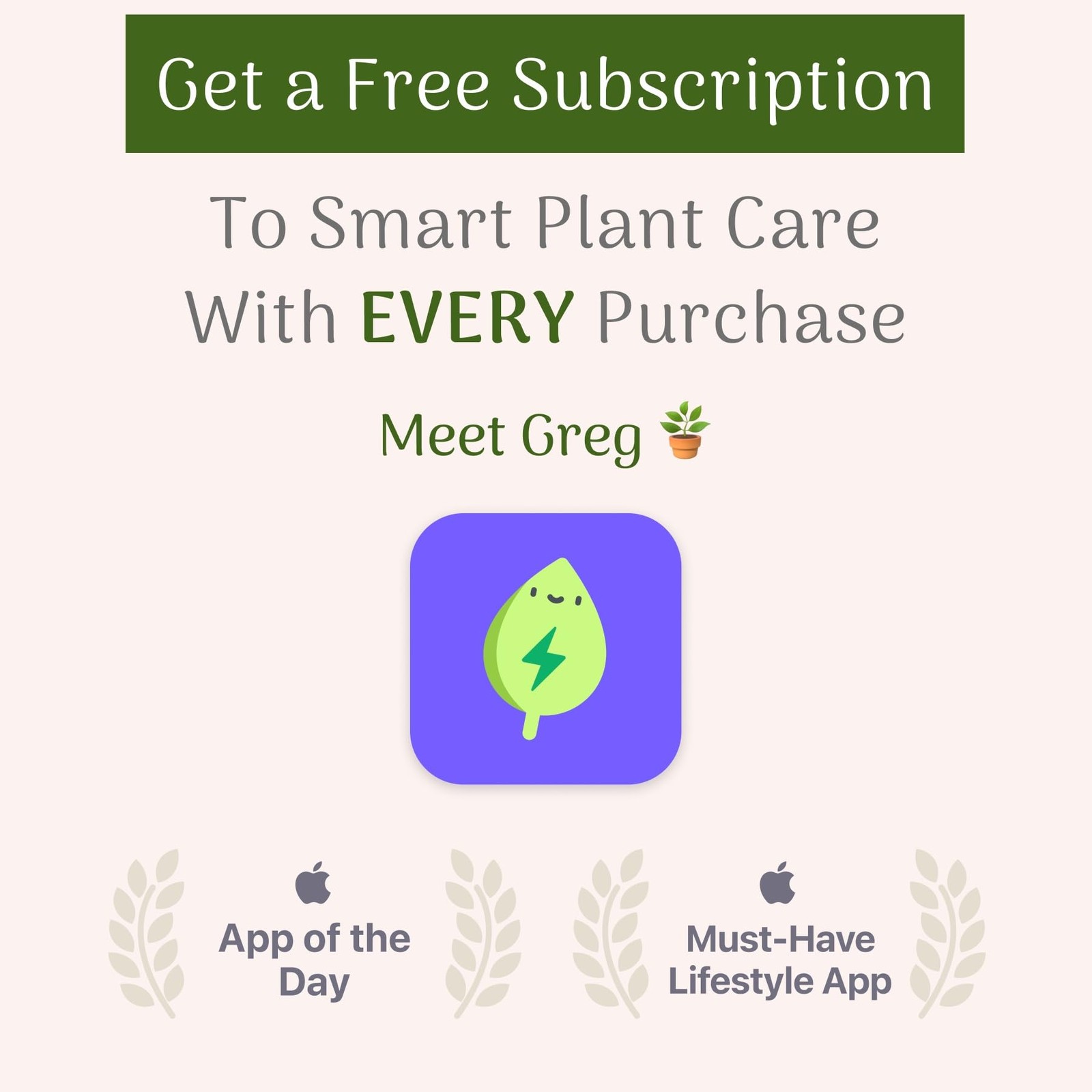 Plant Exchange Live Orange Bird of Paradise Plant with Flowers, Ideal for Hom…