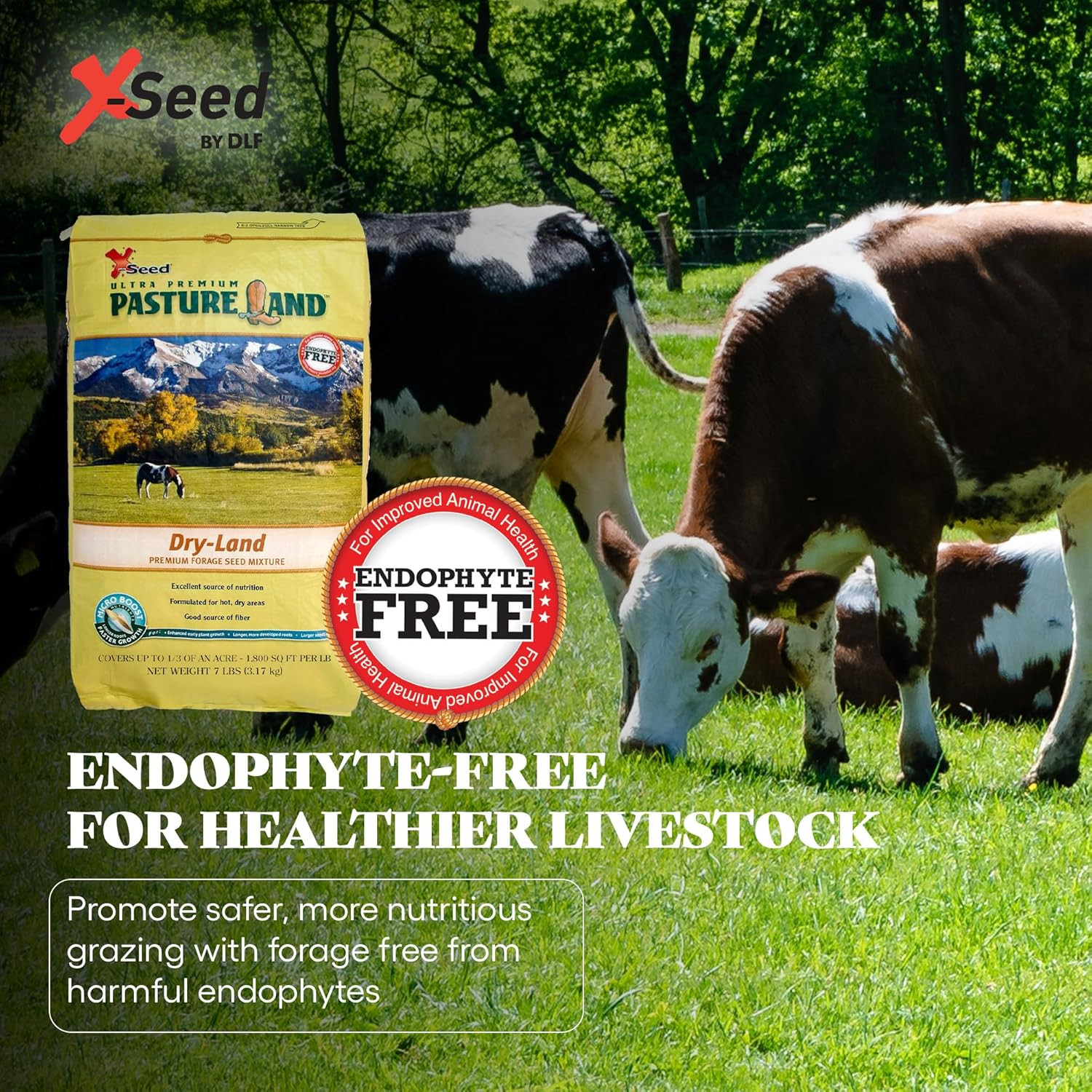 Pasture Land Dry-Land Forage Seed Mixture with Micro-Boost – Tall Fescue Orchard