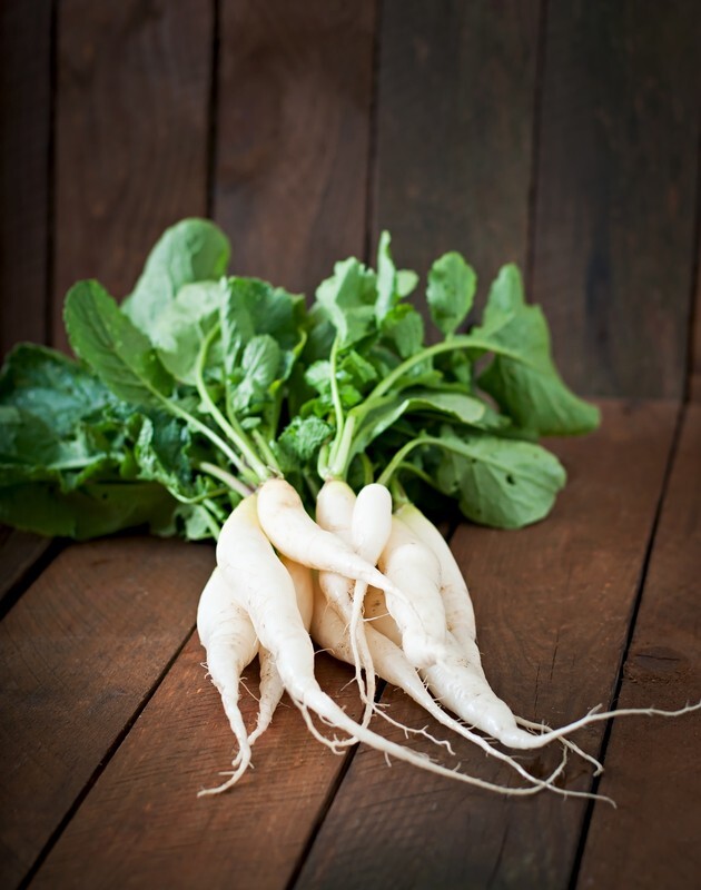 White Icicle Radish seeds