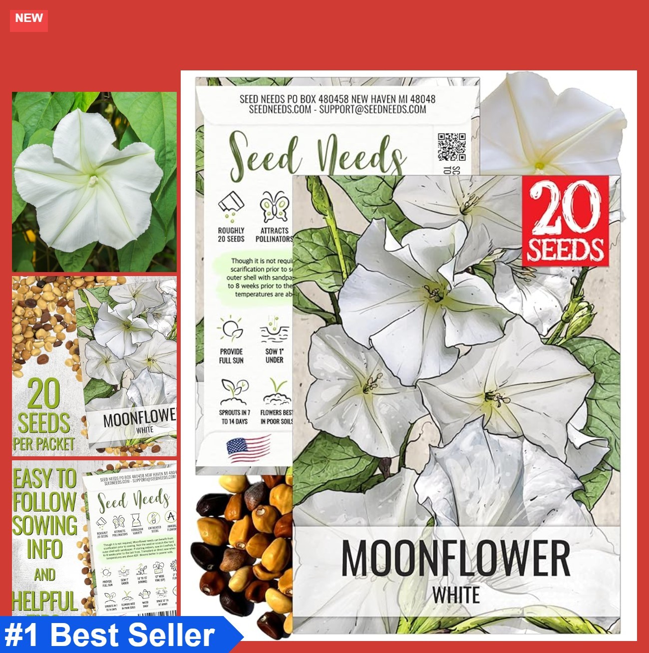 Moonflower Seeds White Vine 10-15 Feet Heirloom Open Pollinated Night Blooming