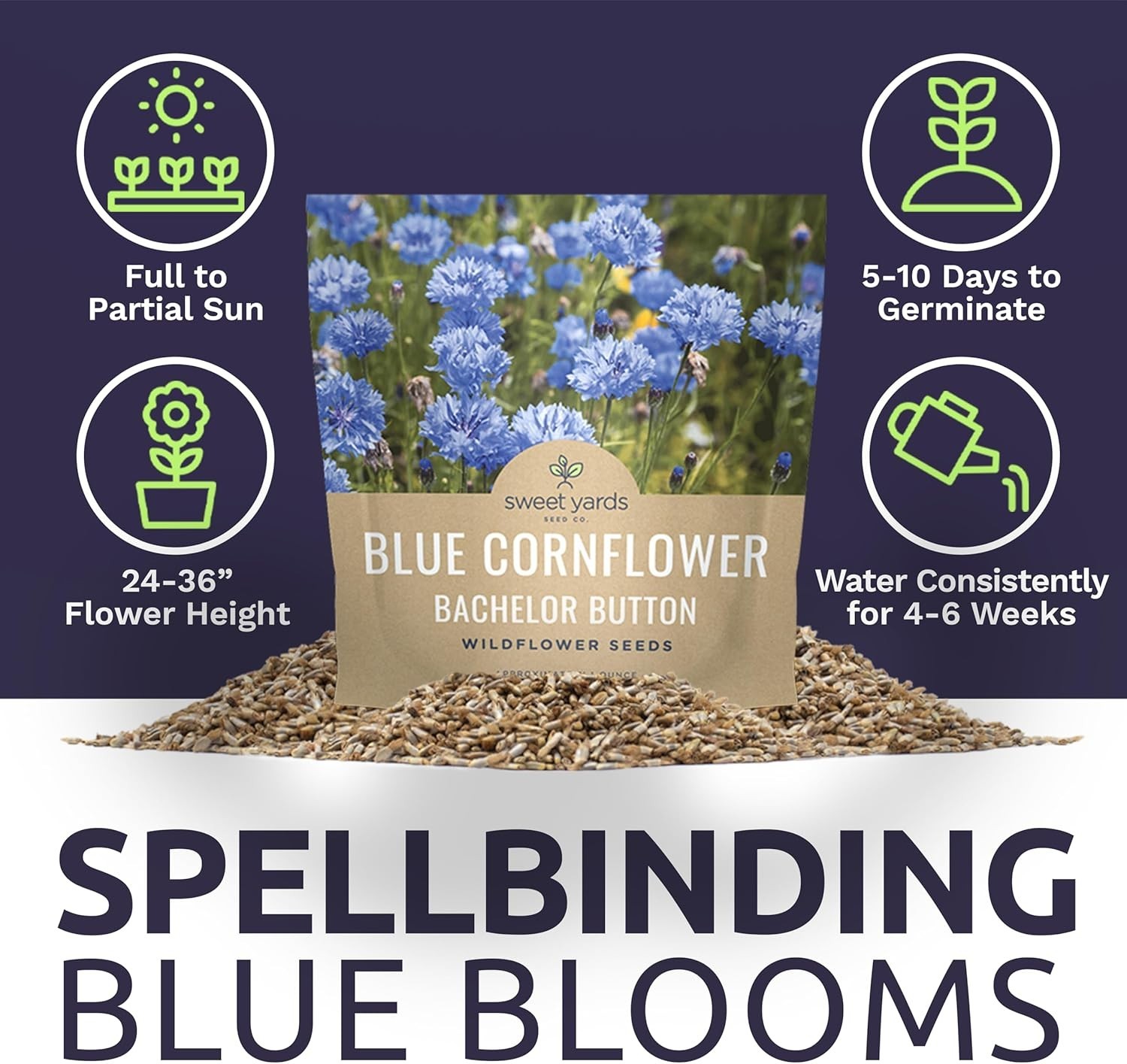 Blue Cornflower Seeds – 5,000 Extra Large Non-GMO Wildflower Seeds, Easy to Grow