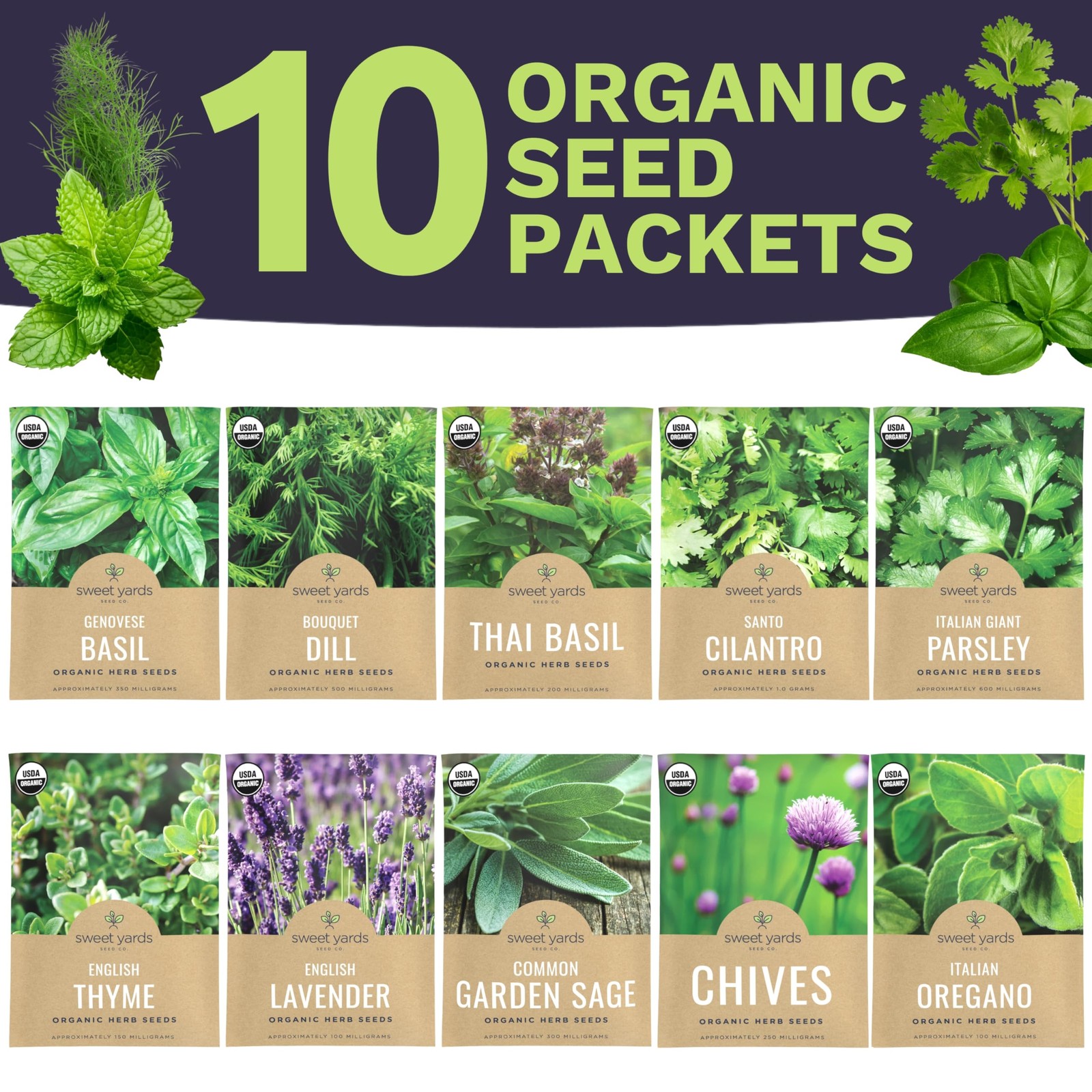 Organic Herb Seeds Variety Pack 10 Individual Packs 2026 Season Basil Cilantro
