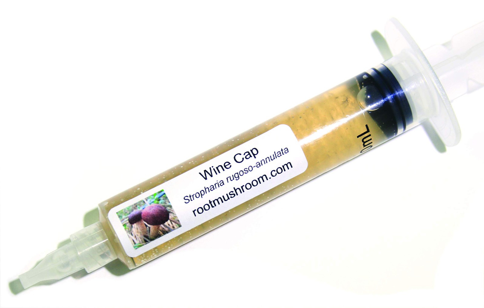30 Wine Cap Mushroom Liquid Cultures for Home Growing