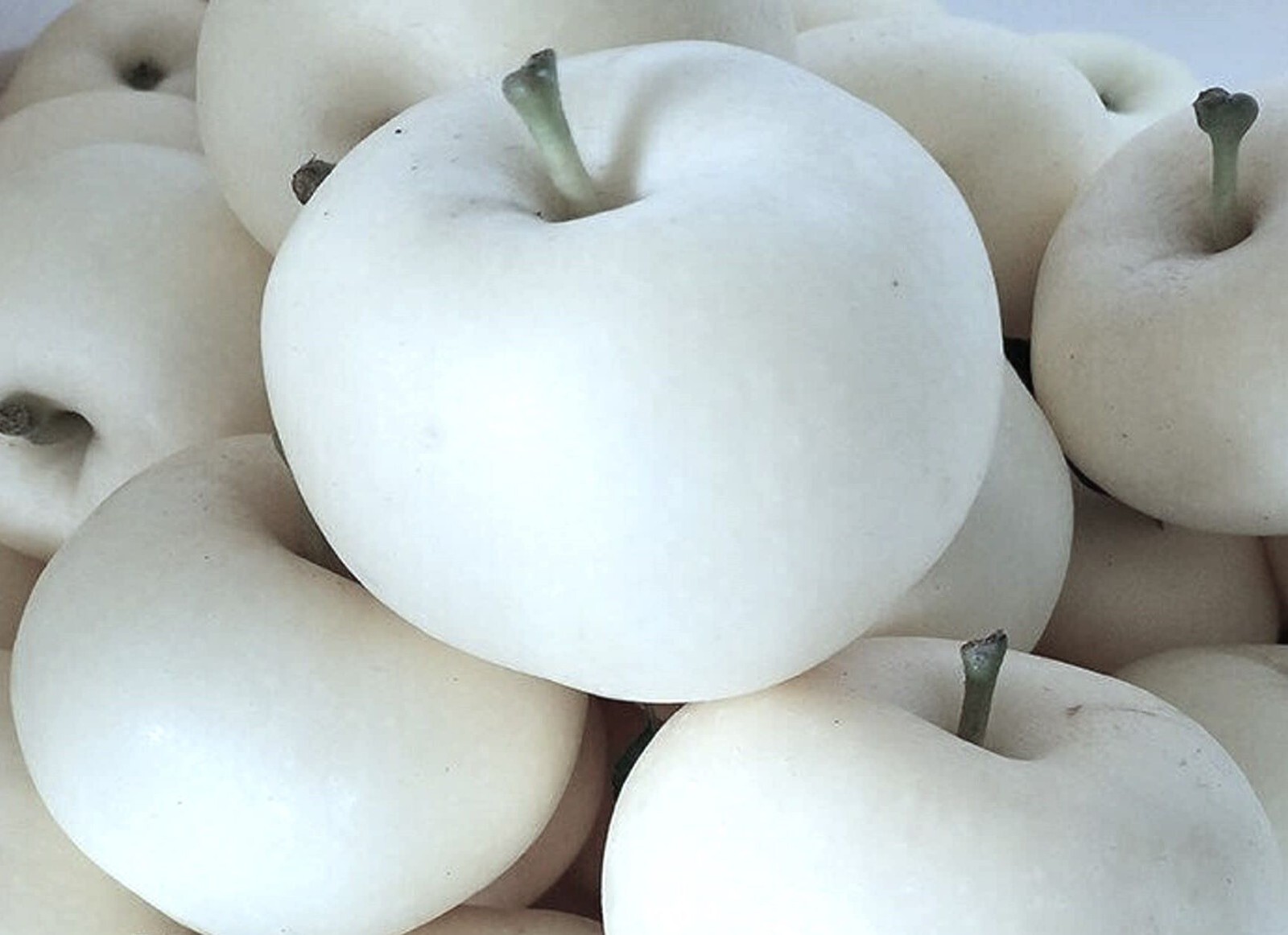 100 White Ghost Apple Tree Seeds – FRESH SEEDS