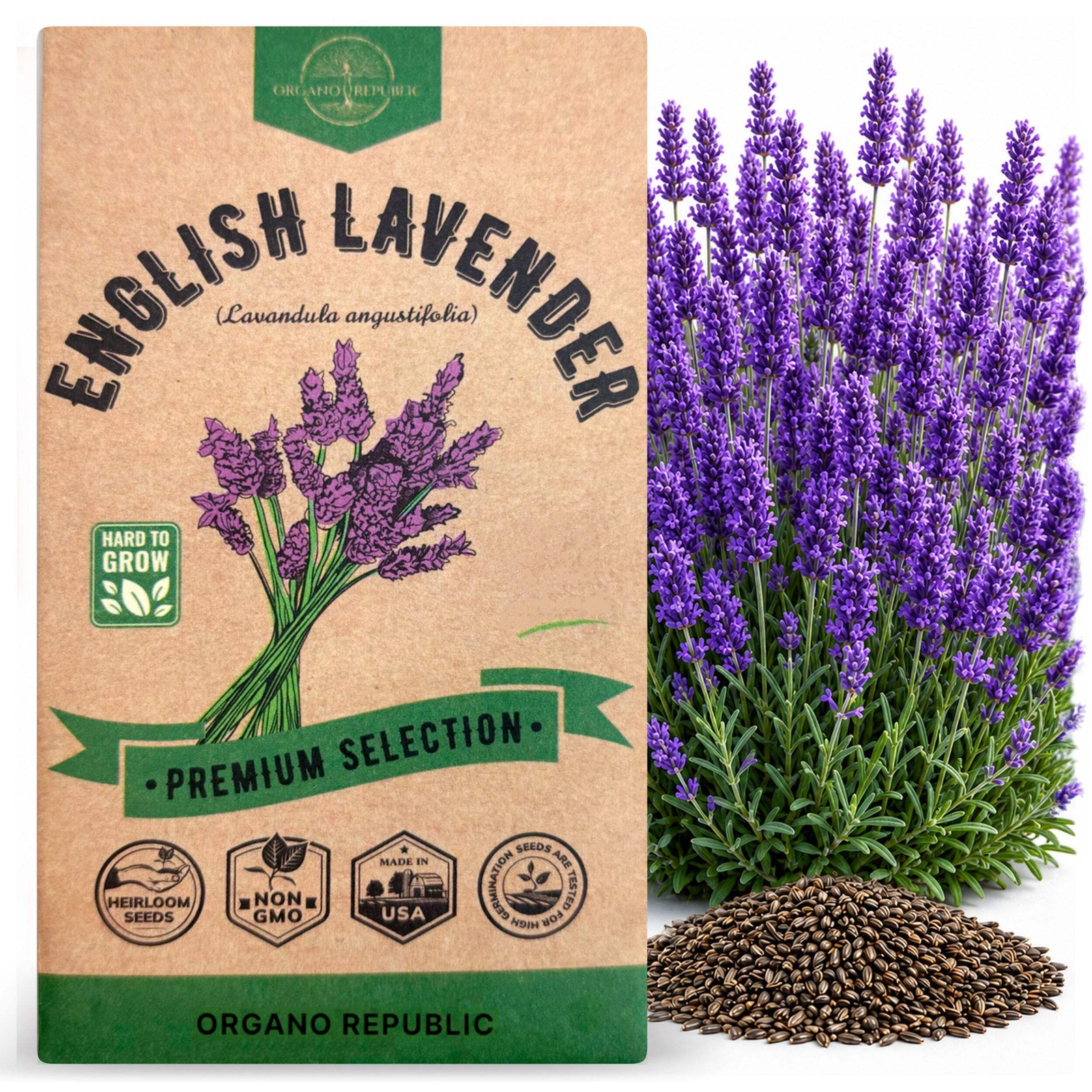 English Lavender Seeds